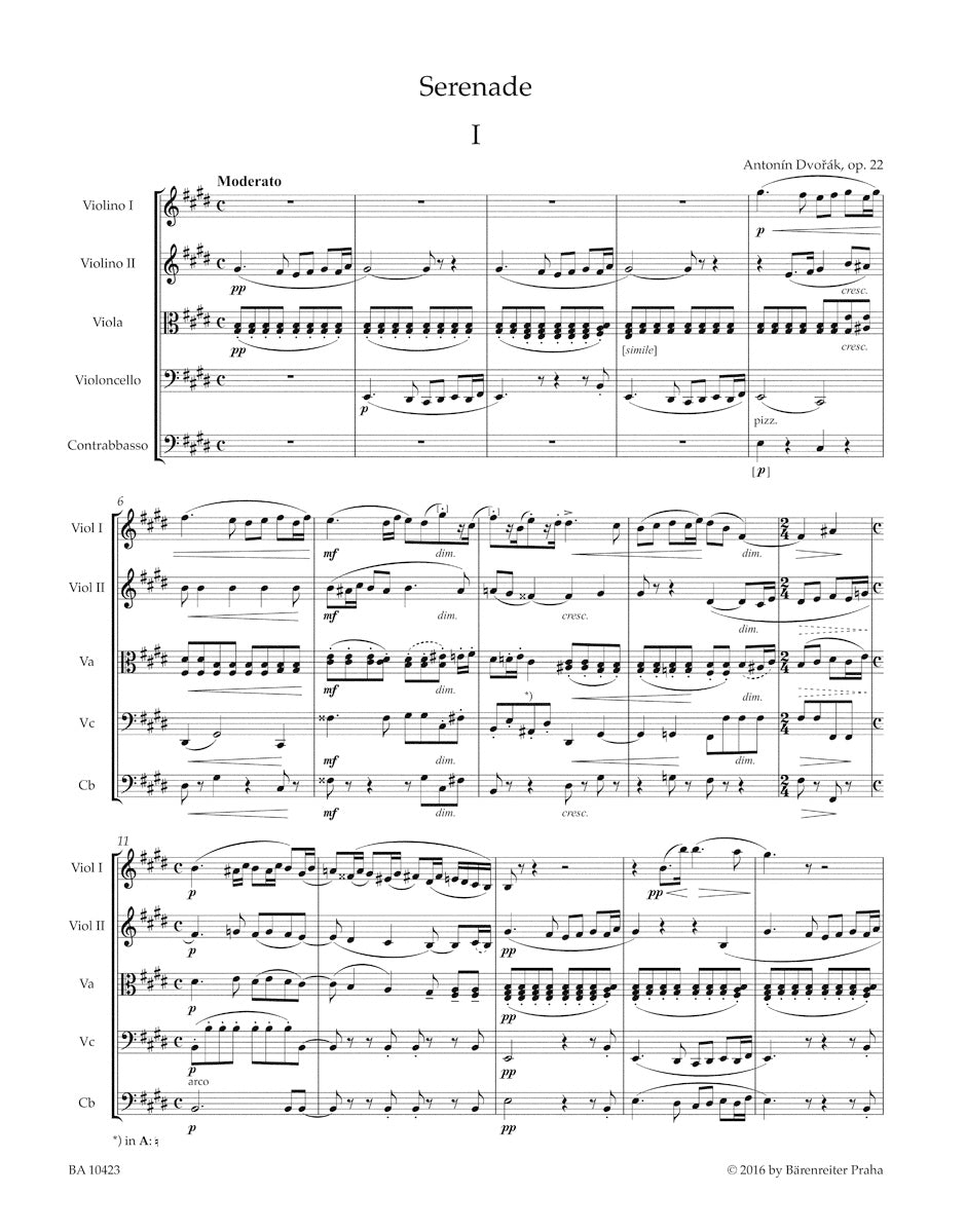 Serenade in E maj op. 22 
for String Orchestra