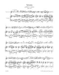 Complete Sonatas for Recorder and Bc