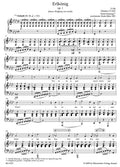 Lieder. Vol. 1 - Medium Voice