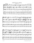 Twelve Methodical Sonatas TWV 4: 41
Volume 4: Sonata in B min, Sonata in C min for Flute (Violin) and Bc