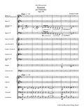 Concerto for Violoncello in B min op. 104