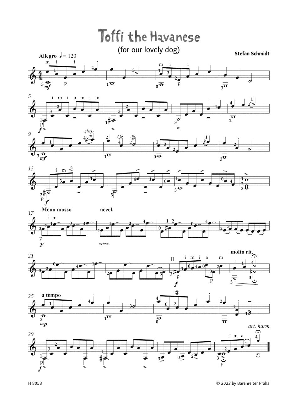 Playing with Rhythm.
10 Pieces for Guitar