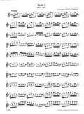 Two Suites for Flute after the Suites for Violoncello solo BWV 1007,01009