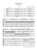 Eine kleine Nachtmusik K. 525