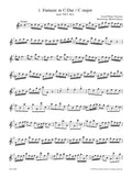 Twelve Fantasias for Solo Treble Recorder based on TWV 40:2-13