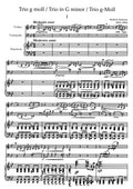 Trio in G min