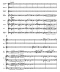 Concerto in D maj for Violin and Orchestra op. 61